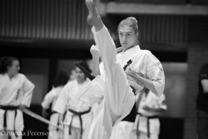 1074963_194775434247090_2168242145247564607_o